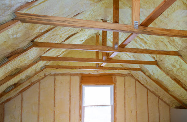 Best Commercial Insulation in Winthrop, IA