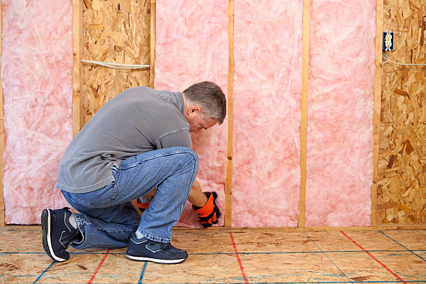 Best Insulation Materials and Products in Winthrop, IA
