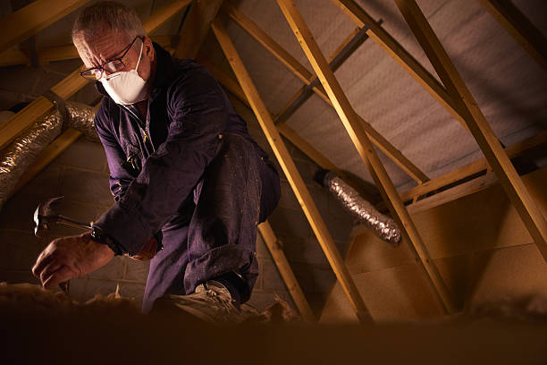 Best Residential Insulation in Winthrop, IA