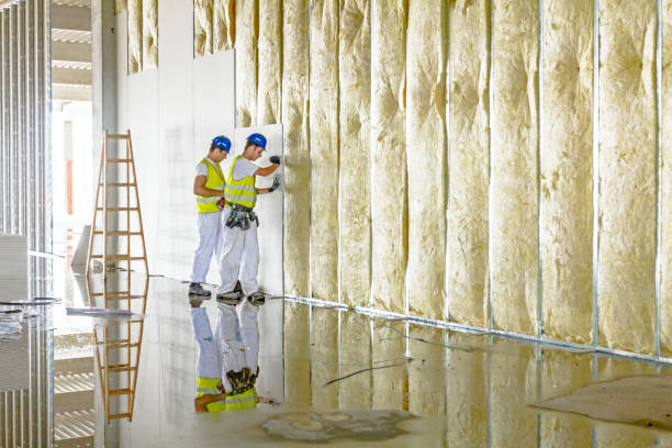 Best Insulation Maintenance and Repair in Winthrop, IA